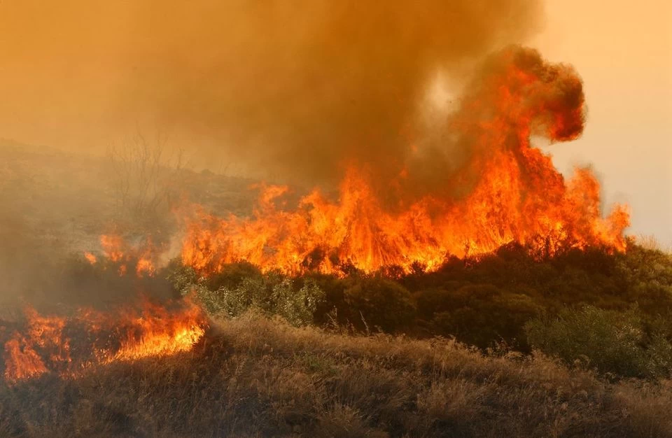 Πυρκαγιά στην Εύβοια: Ενισχύθηκαν οι δυνάμεις της πυροσβεστικής – Μάχη σε τέσσερα μέτωπα